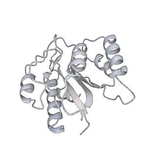 14209_7qy7_b_v1-0
Proteasome-ZFAND5 Complex Z-A state