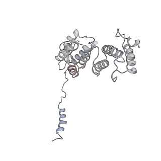 14209_7qy7_d_v1-0
Proteasome-ZFAND5 Complex Z-A state