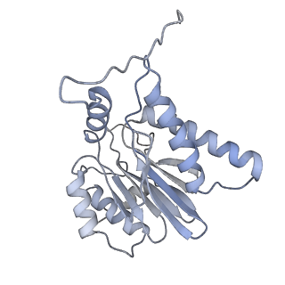 14209_7qy7_h_v1-0
Proteasome-ZFAND5 Complex Z-A state