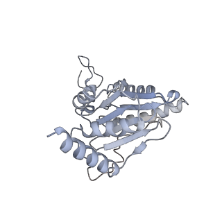 14209_7qy7_j_v1-0
Proteasome-ZFAND5 Complex Z-A state