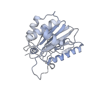 14209_7qy7_k_v1-0
Proteasome-ZFAND5 Complex Z-A state