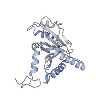14209_7qy7_m_v1-0
Proteasome-ZFAND5 Complex Z-A state