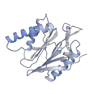 14209_7qy7_p_v1-0
Proteasome-ZFAND5 Complex Z-A state