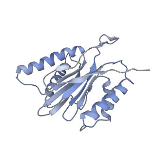 14209_7qy7_q_v1-0
Proteasome-ZFAND5 Complex Z-A state