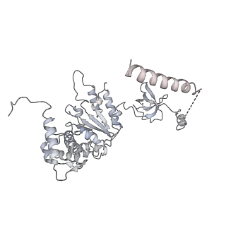14210_7qya_A_v1-0
Proteasome-ZFAND5 Complex Z-B state