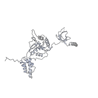 14210_7qya_F_v1-0
Proteasome-ZFAND5 Complex Z-B state