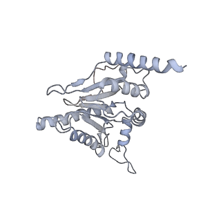 14210_7qya_I_v1-0
Proteasome-ZFAND5 Complex Z-B state