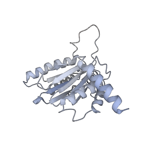 14210_7qya_J_v1-0
Proteasome-ZFAND5 Complex Z-B state