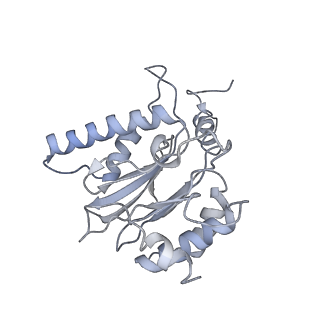 14210_7qya_K_v1-0
Proteasome-ZFAND5 Complex Z-B state