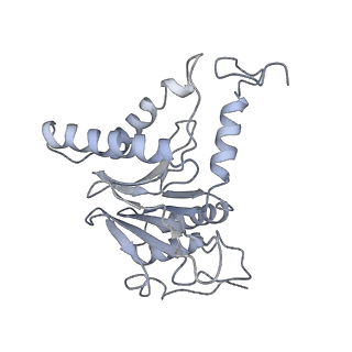 14210_7qya_L_v1-0
Proteasome-ZFAND5 Complex Z-B state
