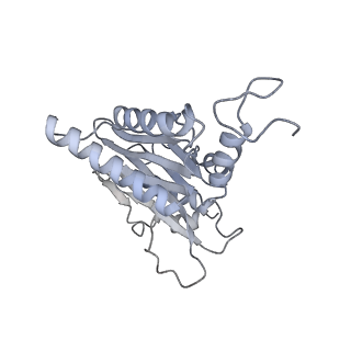 14210_7qya_M_v1-0
Proteasome-ZFAND5 Complex Z-B state