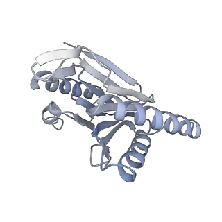 14210_7qya_N_v1-0
Proteasome-ZFAND5 Complex Z-B state