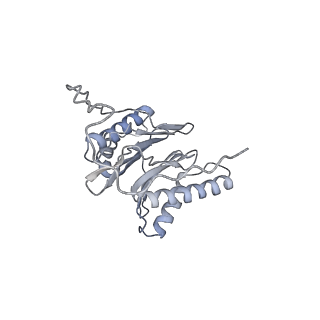 14210_7qya_O_v1-0
Proteasome-ZFAND5 Complex Z-B state