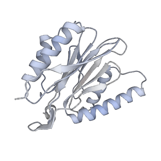 14210_7qya_P_v1-0
Proteasome-ZFAND5 Complex Z-B state