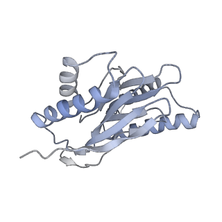 14210_7qya_Q_v1-0
Proteasome-ZFAND5 Complex Z-B state