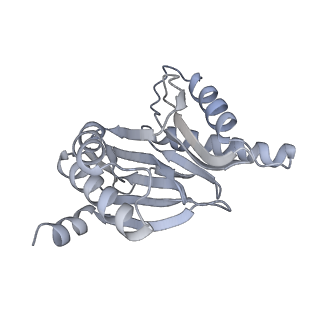 14210_7qya_R_v1-0
Proteasome-ZFAND5 Complex Z-B state