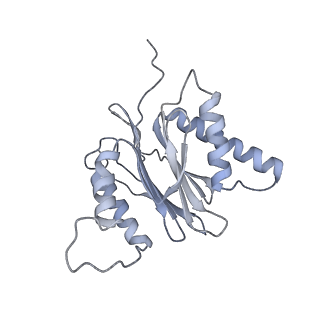 14210_7qya_S_v1-0
Proteasome-ZFAND5 Complex Z-B state