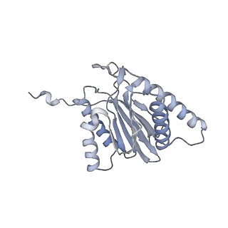 14210_7qya_T_v1-0
Proteasome-ZFAND5 Complex Z-B state