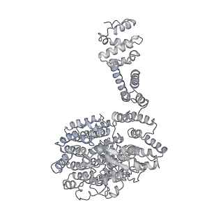 14210_7qya_U_v1-0
Proteasome-ZFAND5 Complex Z-B state