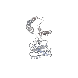 14210_7qya_Z_v1-0
Proteasome-ZFAND5 Complex Z-B state