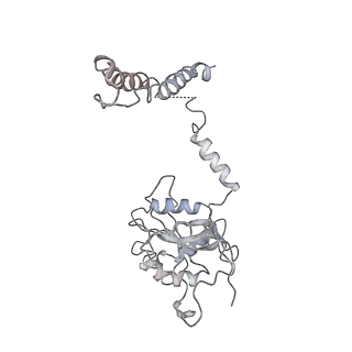 14210_7qya_c_v1-0
Proteasome-ZFAND5 Complex Z-B state