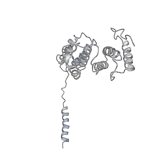 14210_7qya_d_v1-0
Proteasome-ZFAND5 Complex Z-B state