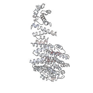 14210_7qya_f_v1-0
Proteasome-ZFAND5 Complex Z-B state