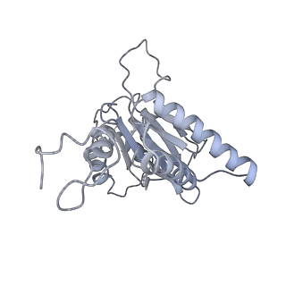 14210_7qya_g_v1-0
Proteasome-ZFAND5 Complex Z-B state