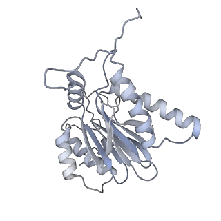 14210_7qya_h_v1-0
Proteasome-ZFAND5 Complex Z-B state