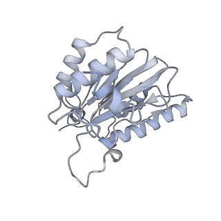 14210_7qya_k_v1-0
Proteasome-ZFAND5 Complex Z-B state