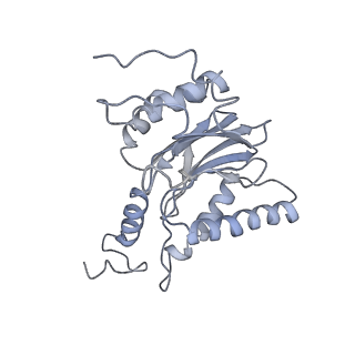14210_7qya_l_v1-0
Proteasome-ZFAND5 Complex Z-B state