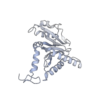 14210_7qya_m_v1-0
Proteasome-ZFAND5 Complex Z-B state