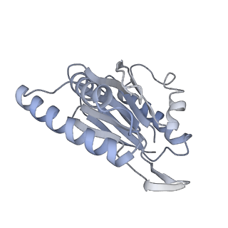 14210_7qya_n_v1-0
Proteasome-ZFAND5 Complex Z-B state