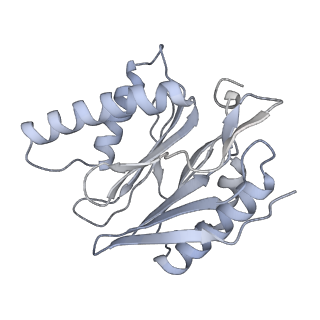 14210_7qya_p_v1-0
Proteasome-ZFAND5 Complex Z-B state