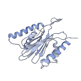 14210_7qya_q_v1-0
Proteasome-ZFAND5 Complex Z-B state