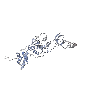 14211_7qyb_F_v1-0
Proteasome-ZFAND5 Complex Z-C state