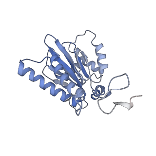 14211_7qyb_G_v1-0
Proteasome-ZFAND5 Complex Z-C state