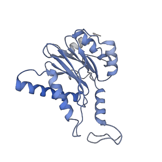 14211_7qyb_H_v1-0
Proteasome-ZFAND5 Complex Z-C state
