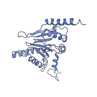 14211_7qyb_I_v1-0
Proteasome-ZFAND5 Complex Z-C state