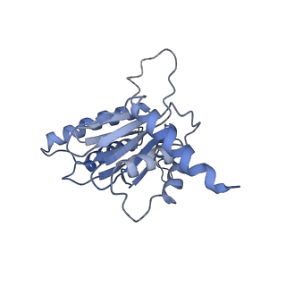 14211_7qyb_J_v1-0
Proteasome-ZFAND5 Complex Z-C state