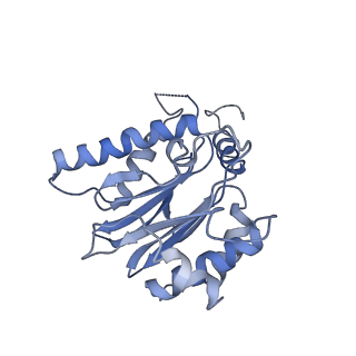 14211_7qyb_K_v1-0
Proteasome-ZFAND5 Complex Z-C state