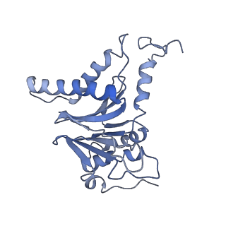 14211_7qyb_L_v1-0
Proteasome-ZFAND5 Complex Z-C state