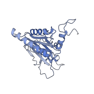 14211_7qyb_M_v1-0
Proteasome-ZFAND5 Complex Z-C state