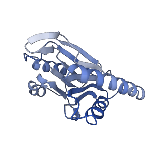 14211_7qyb_N_v1-0
Proteasome-ZFAND5 Complex Z-C state