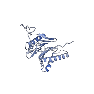 14211_7qyb_O_v1-0
Proteasome-ZFAND5 Complex Z-C state