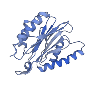 14211_7qyb_P_v1-0
Proteasome-ZFAND5 Complex Z-C state
