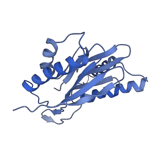 14211_7qyb_Q_v1-0
Proteasome-ZFAND5 Complex Z-C state