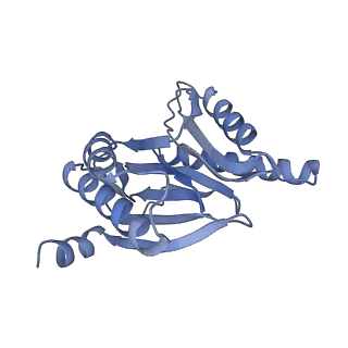 14211_7qyb_R_v1-0
Proteasome-ZFAND5 Complex Z-C state
