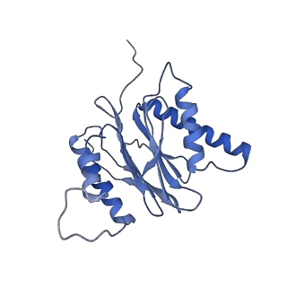 14211_7qyb_S_v1-0
Proteasome-ZFAND5 Complex Z-C state