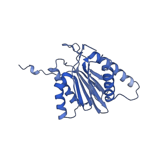 14211_7qyb_T_v1-0
Proteasome-ZFAND5 Complex Z-C state